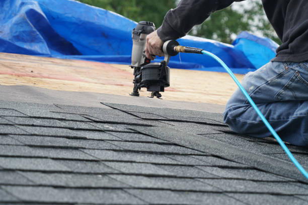Best Roof Gutter Cleaning  in Harriman, NY